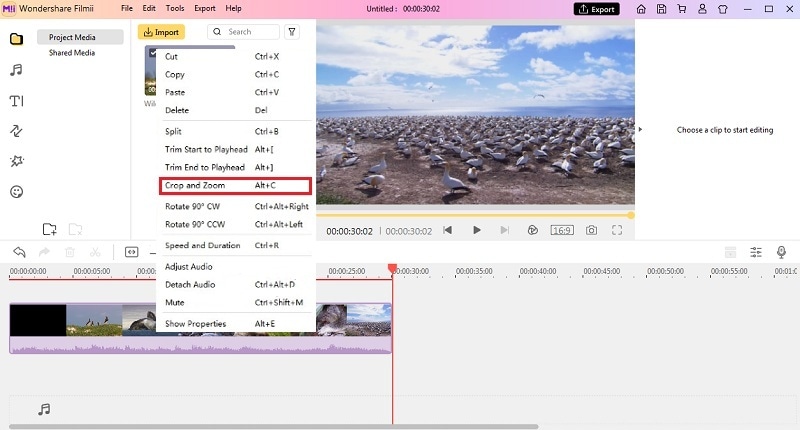 crop and zoom option